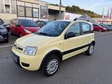 Fiat Panda 1.2 8V Climbing  4X4 1.Hand - Fiat Panda aus 2011: Allradantrieb