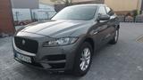 Jaguar F-Pace 20d AWD Pure Automatik Pure - Jaguar F-Pace in Hannover