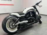 Harley-Davidson Night Rod*V-Rod*10 Years*Spezial*Muscle*VR1*TOP* - HARLEY-DAVIDSON V ROD MUSCLE