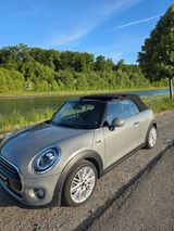 MINI Mini Cooper Cabrio "Chili" - MINI Cooper Cabrio