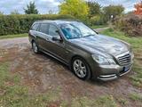 Mercedes-Benz E250 CDI Avantgarde Daimler - Mercedes-Benz E 250 aus 2010: Cdi