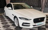 Jaguar XE SE P250, Kamera, Navi, Leder, Schiebedach - Jaguar XE Gebrauchtwagen