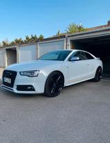 Audi A5 3.0 TDI S-Line Coupé DTM Edition - Audi A5 DTM Gebrauchtwagen