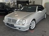 Mercedes-Benz CLK 430 V8 Cabrio*Original*Navi*Tempo*Leder* - Mercedes-Benz CLK 430 Gebrauchtwagen