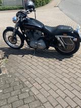 Harley-Davidson Sportster 883 Custom - Angebote