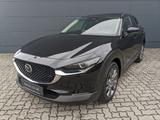 Mazda CX-30 2.5l (140PS) Takumi Leder Schwarz Bose Nav - Mazda CX-30 Gebrauchtwagen