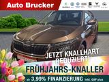 Skoda Kamiq Drive 125 1.5 TSI+Anhängerkupplung+Alufelg - Skoda Kamiq: Drive 125