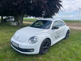 Volkswagen Beetle 2.0 TSI DSG Sport Turbo / 200 PS - Volkswagen Beetle: Turbo