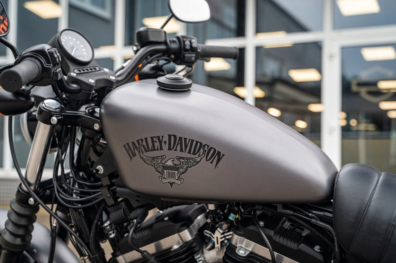Fahrzeugabbildung Harley-Davidson XL883N - Iron
