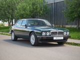 Jaguar XJ 3.6 // org. 54200km // sammlungswürdig! - Jaguar XJ40 Gebrauchtwagen