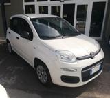 Fiat Panda 1.2 Trussardi - Fiat Panda TRUSSARDI mit Benzin-Antrieb