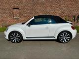 Volkswagen Cabrio 1.4 TSI BMT Xenon Leder Navi - Volkswagen Beetle in Düsseldorf