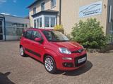 Fiat Panda Lounge - Fiat Panda Gebrauchtwagen in Braunschweig