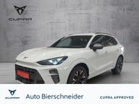 Cupra Terramar - Vorschau Bild 1