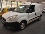 Fiat Doblo Kühlwagen Kasten - Fiat: Kühlwagen