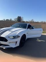 Ford Mustang 5.0 Ti-VCT V8 GT Auto GT - Ford Mustang Gebrauchtwagen in Stuttgart