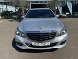 Mercedes-Benz E 350 BlueTec 4Matic I ELEGANCE I LED I AMBIENTE - Mercedes-Benz E 350: Elegance