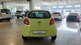 Ford Ka Trend * - Ford Ka/Ka+ in Duisburg