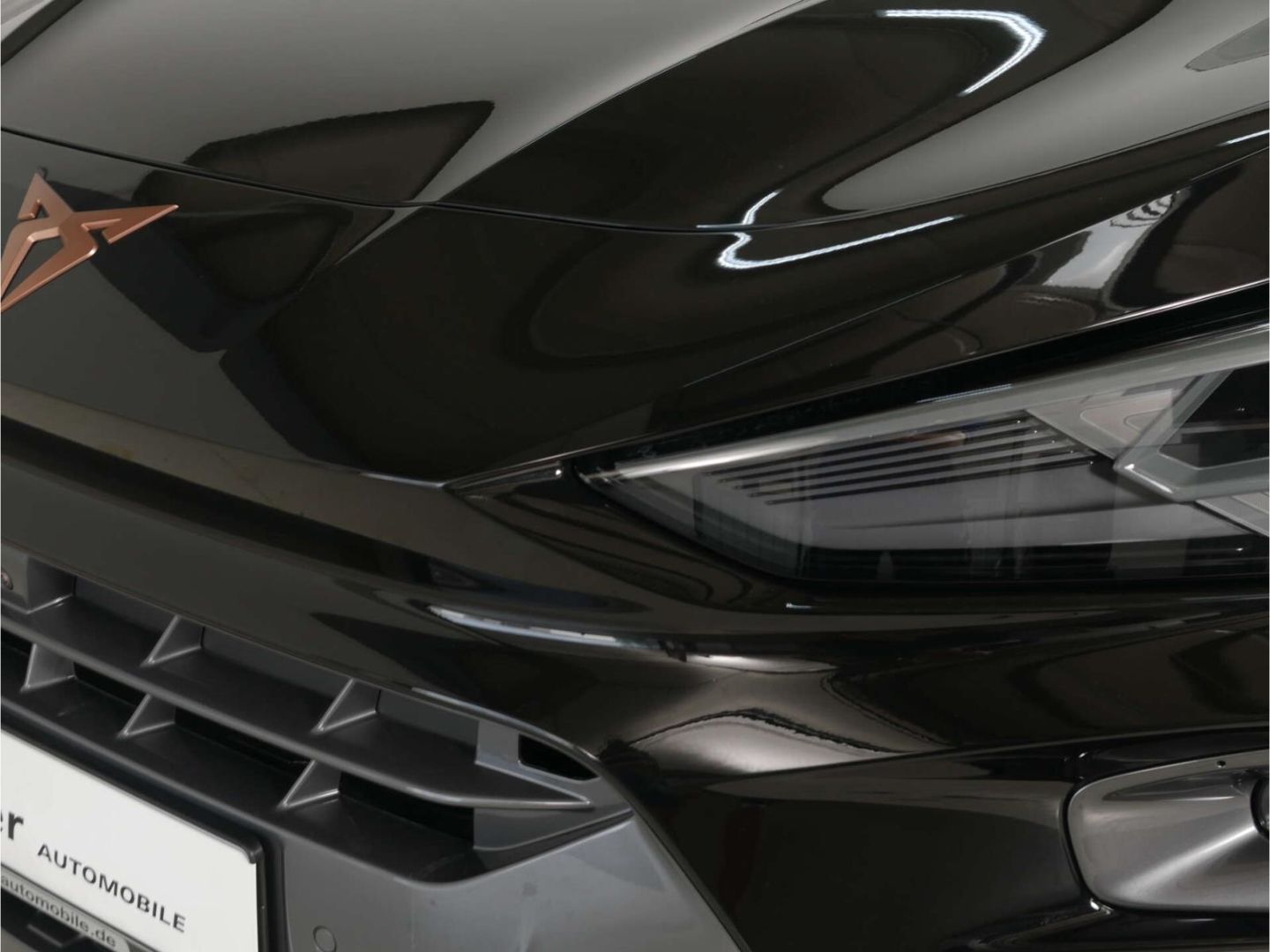 Cupra Terramar - Bild 8