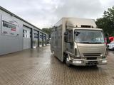 Iveco M752 3-4 Pferde kl. Wohnung. - Tier-/Pferdetransport 3 pferde