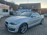 BMW 228 i Cabrio Sport Line*LH*KEY*MEMORY*XEN*HARMAN - BMW Gebrauchtwagen in Tübingen