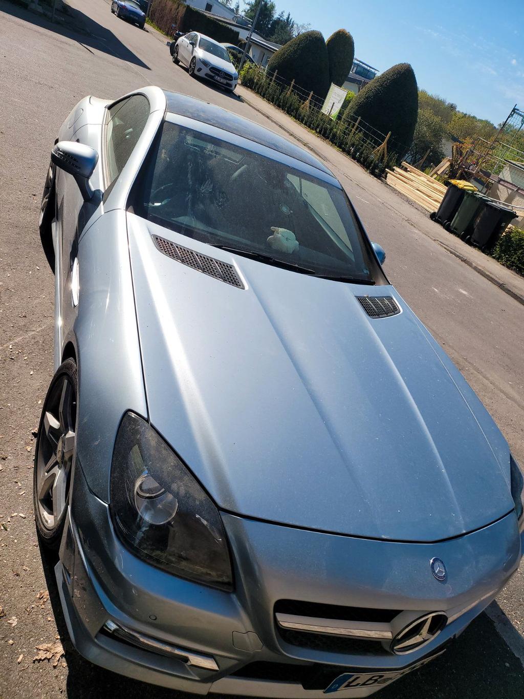 Mercedes-Benz Mercedes SLK R172 AMG 250D zu verkaufen