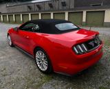 Ford Mustang 5.0 Ti-VCT V8 GT Auto GT - Ford Mustang mit Benzin-Antrieb: Cabrio, 5.0