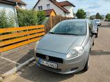 Fiat Punto - gebrauchte Fiat Punto aus dem Jahr 2009