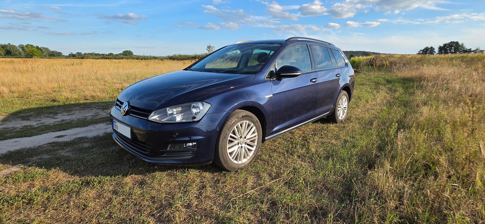 Volkswagen Golf 2014 — rear view