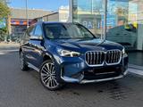 BMW X1 30 e xDrive xLine LED/Pano/Leder/AHK/H&K - BMW X1 Gebrauchtwagen in Frankfurt