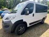 Fiat Ducato*L1H1*9Sitzer*2,3-150PS*nur Sommer*2xKlima - Fiat Ducato mit Diesel-Antrieb: Kleinbus, 9 Sitzer
