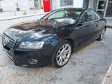 Audi A5 2.0 TDI 170cv Ambition - Audi A5: TDI 170
