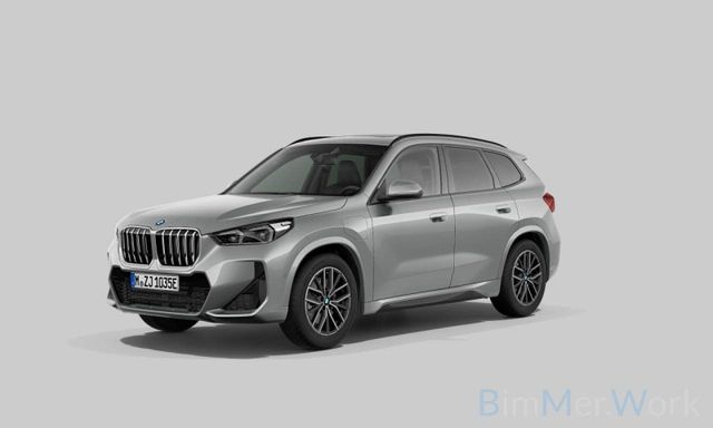 BMW X1 xD25e M Sport DAB Kamera H/K Panorama 18Zoll