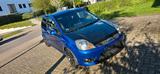 Ford Fiesta ST 150 - Ford Fiesta aus 2009: ST