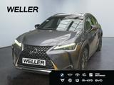 Lexus UX 250h Luxury Line *HUD*360°*GSD*Klimasitze*ACC