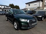 Audi Q5 50 TDI quatt*SPORTPAKET*PANO*VIRTUAL*KAMERA* - Audi Q5: Grün