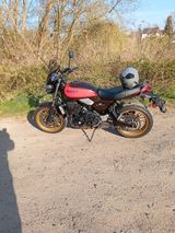 Kawasaki z 650 rs ABS 50 year edition - Angebote entsprechen deinen Suchkriterien