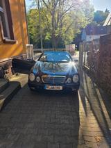 Mercedes-Benz 230 - Mercedes-Benz 230: Cabrio