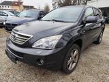 Lexus RX 400 - graue Lexus RX 400