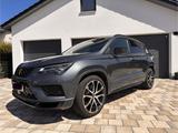 Cupra Ateca 2.0 TSI *AHK* 4Drive DSG 300PS TOP  - Cupra Ateca von privat