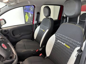 Bild 10 Fiat Panda Pandina Cross