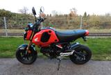 Honda MSX125 Grom, NUR 614 Km, TOP! - HONDA MSX 125