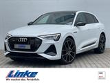 Audi e-tron 55 quattro S line Sitzlüftung/Kamera/ACC