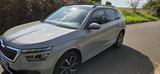 Skoda Kamiq 1.5 TSI DSG 150PS - Skoda Kamiq: Von Privat
