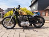 Harley-Davidson XL 883 L - HARLEY-DAVIDSON 2009 883