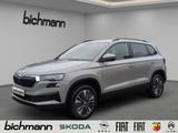 Skoda Karoq Tour Steel-Grau W'less Apps vCP Matrix - Skoda Karoq: Tour