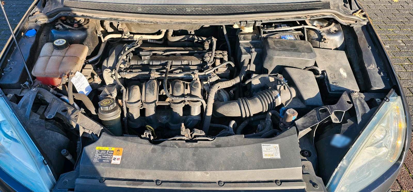 Ford Focus 2006 — photo 6