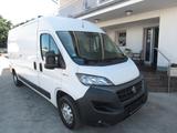 Fiat Ducato Grossr.-Kasten 35 140 L4H2 RS: 4035 mm, - Fiat Ducato in Köln
