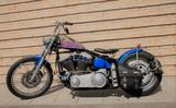 Harley-Davidson FXSTC EVO - Offers