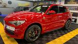 Alfa Romeo Stelvio 2.9 Bi-T. V6 375kW Quadrifoglio AT8-... - Alfa Romeo Stelvio: Quadrifoglio